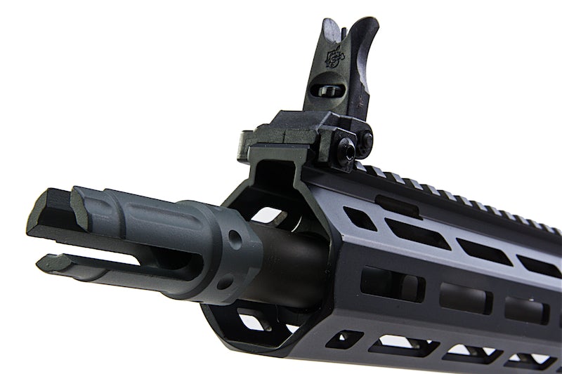 ARES SR16 AEG w/ EFCS Unit (Long / Black)