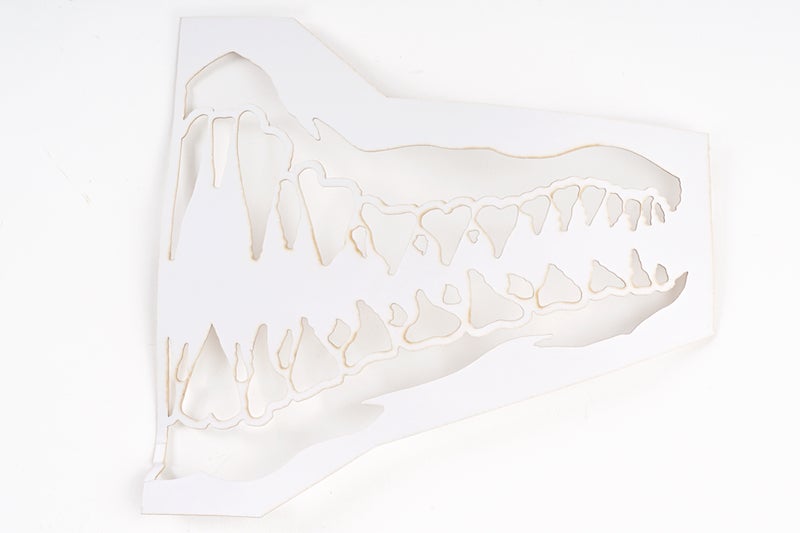 TMC Mesh Mask with Ear Cover