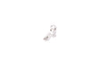 COWCOW Technology Type A Trigger For Action Army AAP01 GBB Airsoft (Silver)