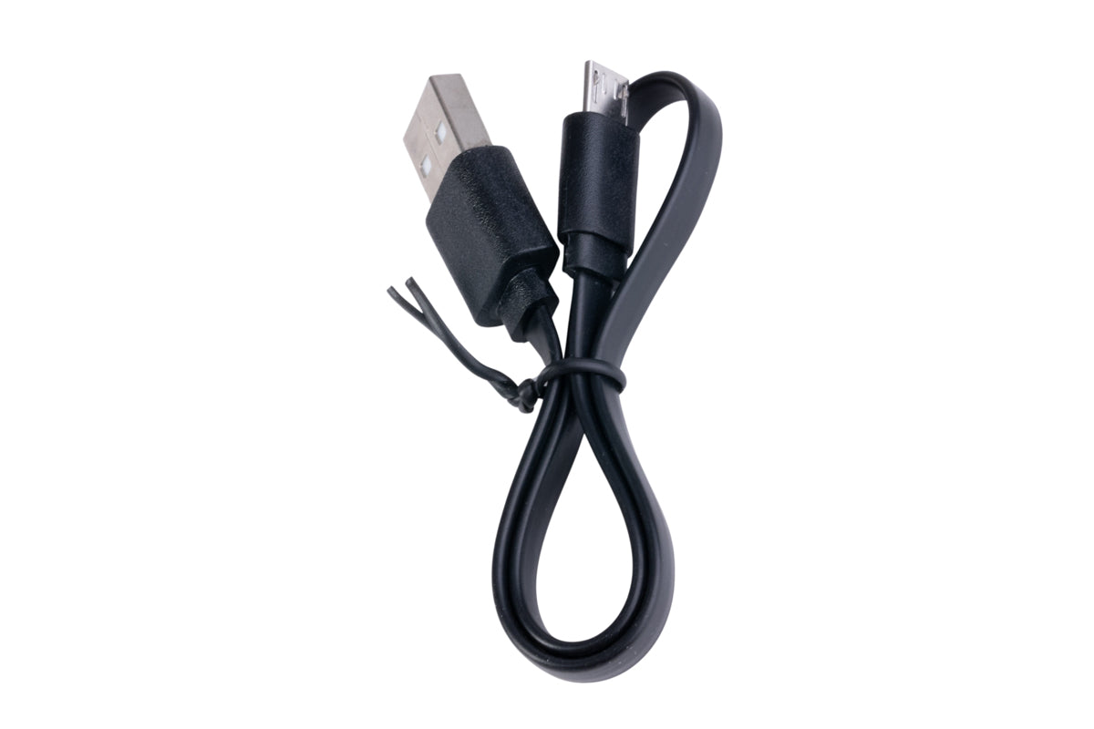 RunCam Dual Battery Charger