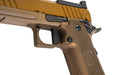 RWA Nighthawk Custom BDS9 (Cerakote Sand Hawk Finish)