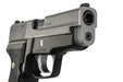 Tanaka SIG P228 Evolution 2 Tone All Heavy Weight Model Gun (Cerakote Finish)
