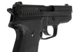 Tanaka SIG P229 .357 SIG Evolution 2 All Heavy Weight Model Gun
