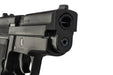 Tanaka SIG P229 .357 SIG Evolution 2 All Heavy Weight Model Gun
