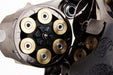 Umarex (WinGun) 5 inch S&W 629 Airsoft CO2 Revolver (Titanium Black Ver.)