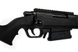 Amoeba (ARES) STRIKER AS02 Spring Sniper Rifle (Black)