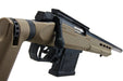 ARES Striker AST 01 CO2 Airsoft Sniper (Dark Earth/ Custom Ver.)
