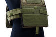 Crye Precision (By ZShot) Adaptive Vest System (AVS) (L Size / Ranger Green)