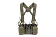 Haley Strategic D3CR-X Disruptive Environments Chest Rig (Ranger Green)
