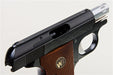 WE CT25 GBB Pistol