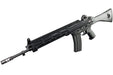 Systema Type 89 Training Rifle (PTW89)