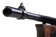 ARES Thompson Chicago Electric Blow Back EBB Rifle