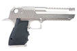 ALC Custom New Desert Eagle Stainless Kit for Cybergun / WE Desert Eagle Airsoft GBB Pistol