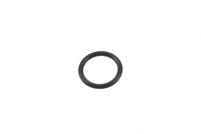 Systema small O-ring for cylinder head for Systema PTW