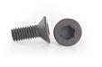 Systema Grip End Screw for PTW (4 Pcs)